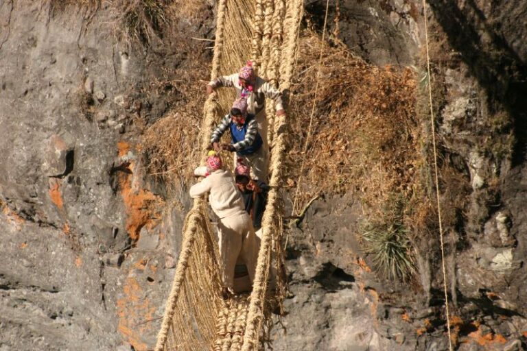 373191100_f109430e43_o