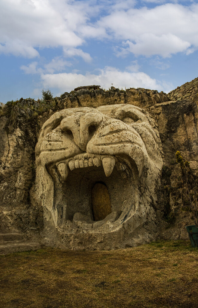 51805932202_e016e31ed6_b