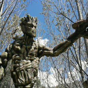 Ruta del Misterio -  Medio Día