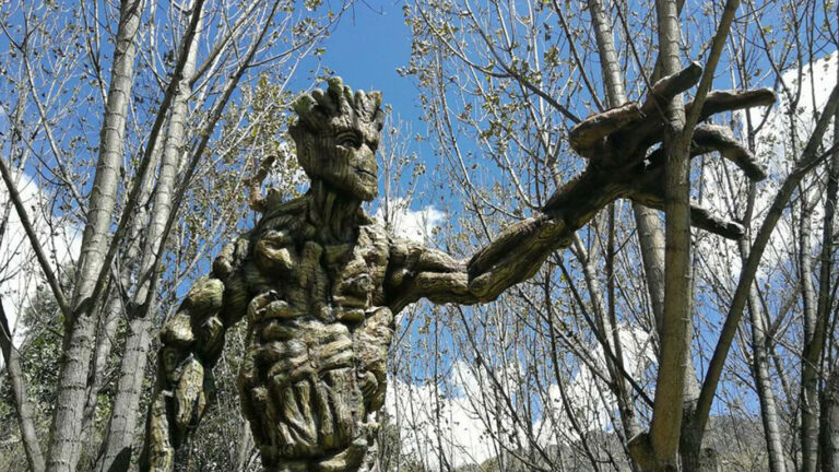 humedal-de-huasao-02