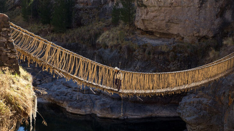 rutamisterio_0000s_0001_Capa 1