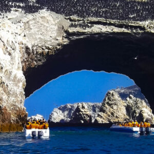Paracas Islas Ballestas - Medio Día