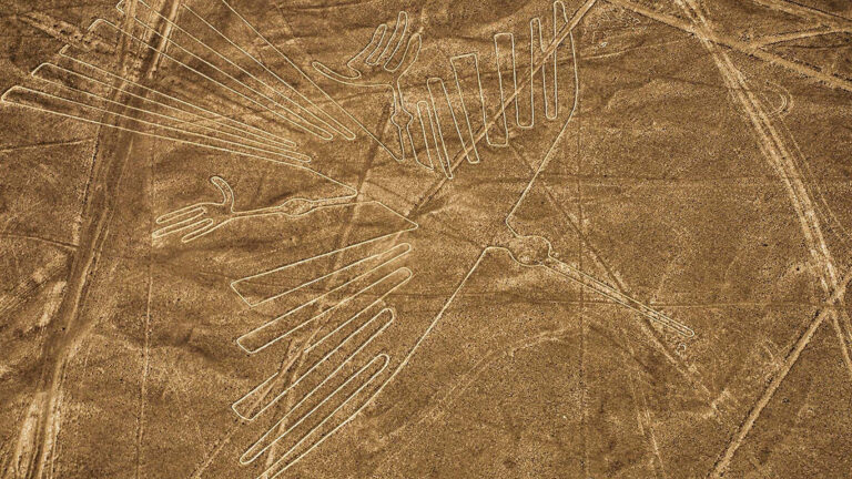 orlando_0007_linea-de-nasca