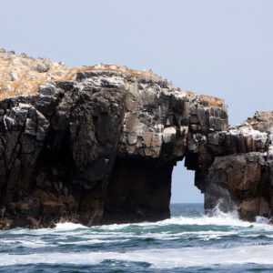 Islas Palomino - Medio Día